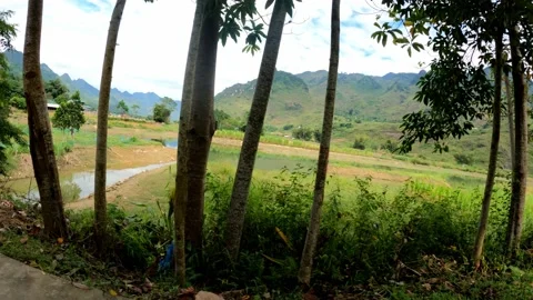 Fields 4k Stock Footage 222258724