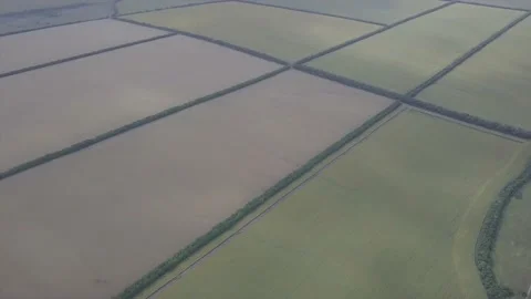 Fields in Abkhazia from a height. Stock Footage 148656038