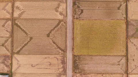 Fields From Above Stock Footage 97911827
