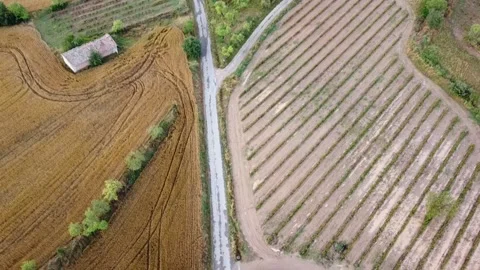 Fields Aerial View, Flight Down Stock Footage 147181569