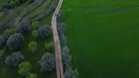 Fields Aerial View, Spain Stock Footage 146638319