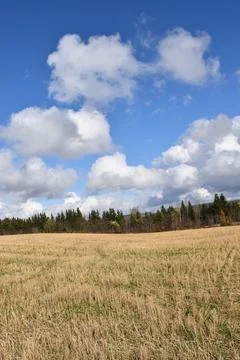 Fields after the autumn harvest Stock Photos