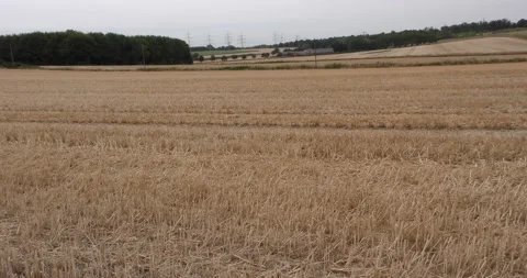 Fields after harvest I Stock Footage 268538893