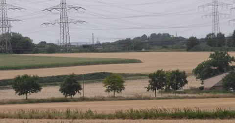 Fields after harvest II Stock Footage 268546461