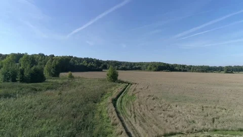 Fields after harvesting. Aerial survey. 스톡 동영상 80872974