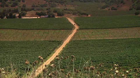 Fields of Agriculture 1 Stock Footage 10920351