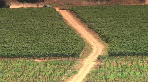 Fields of Agriculture 2 Stock Footage 10920525