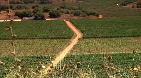 Fields of Agriculture 5 Stock Footage 10920918