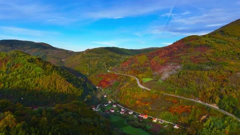 Fields Of Air And Emerald Peace Stock Footage 313665513