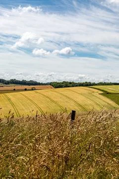 Fields along the South Downs Way in Sussex, on a summer's day Stock Photos