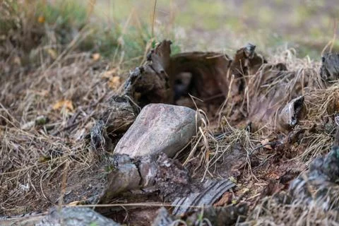 At the fields is  always scrap old trees, stones and garbage Stock Photos