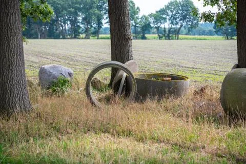 At the fields is  always scrap old trees, stones and garbage Foto stock