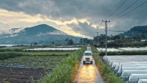 Fields and agricultural zone Stock Footage 86746400