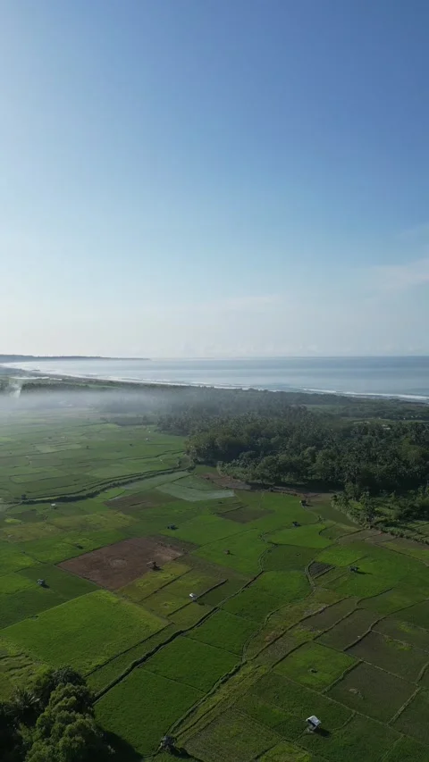 Fields and beaches 動画素材 237029658