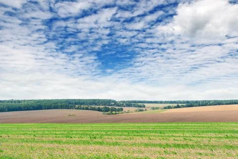 Fields and blue sky Stock Photos