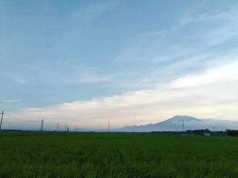 Fields and Blue Sky Stock Photos