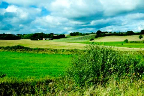 Fields and Cloudy Sky Stock Photos