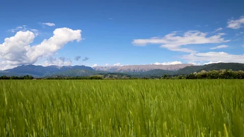Fields And Cloudy Sunny Sky. Time Lapse 4k sunny day Stock Footage 129670294