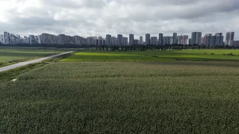Fields and distant city panoramic aerial view Stock Footage 204869940