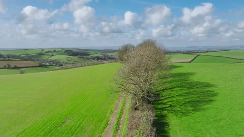 Fields and Farmlands at spring from a drone, Devon, England, Europe 動画素材 267046470