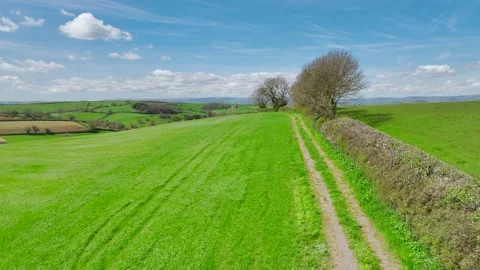 Fields and Farmlands at spring from a drone, Devon, England, Europe Vídeo Stock 273417999