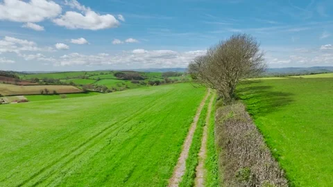 Fields and Farmlands at spring from a drone, Devon, England, Europe Видео 273418009