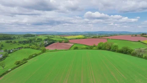 Fields and Farms from a drone, Devon, England,  Europe Stock Footage 241496976