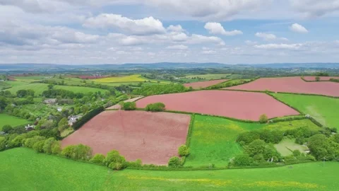 Fields and Farms from a drone, Devon, England,  Europe Stock Footage 241497159