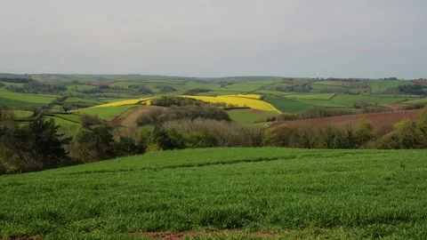 Fields and Farms from a drone, Devon, England,  Europe 動画素材 253510037