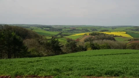 Fields and Farms from a drone, Devon, England,  Europe 動画素材 253510130