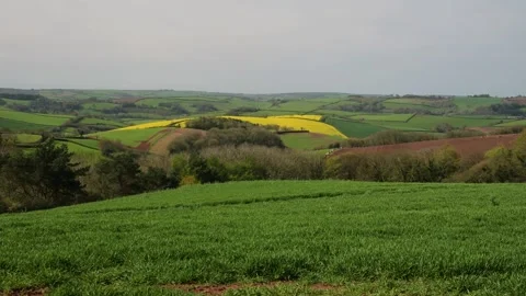 Fields and Farms from a drone, Devon, England,  Europe 動画素材 253510135