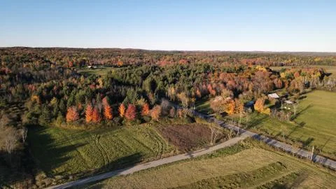 Fields and farms in front of a dense colorful autumn forest Stock Photos