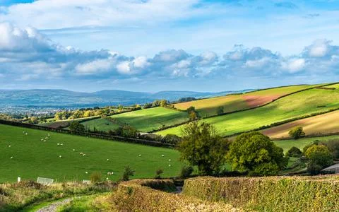 Fields and Farms over Devon, England, Europe Stock-Fotos