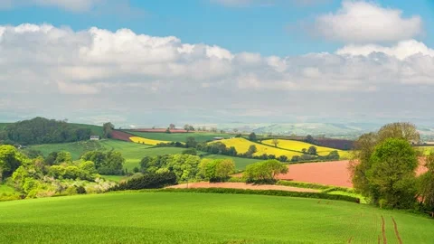 Fields and Farms in Time Lapse, Torquay, Devon, England Stock Footage 241217668