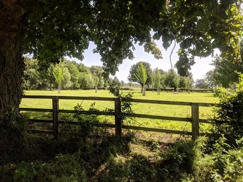 Fields and fences 库存照片