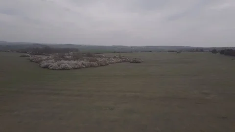 Fields and flowered trees on cloudy spingtime 1080 ungraded Stock Footage 105953312