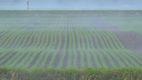 Fields and Fog Vídeo Stock 332438840
