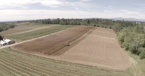 Fields And Forest From The Air With Drone Stock Footage 108858315