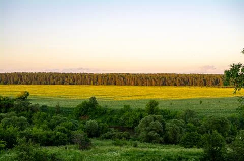 Fields and forest lit by the sun Stock Photos