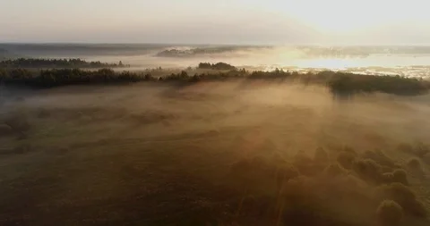 Fields and forests in the fog at dawn, aerial view 動画素材 95407826