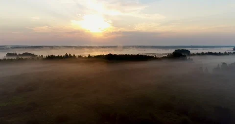 Fields and forests in the fog at dawn, aerial view, landscape 動画素材 95938175
