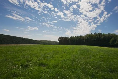 Fields and forests Stock Photos