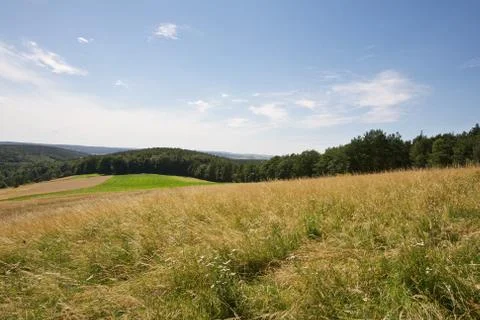 Fields and forests Foto stock