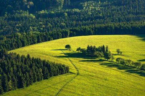 Fields and forests Stock Photos