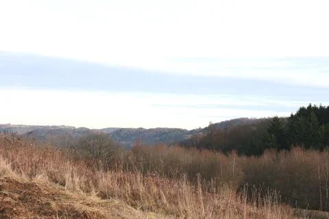 Fields and forests Stock Photos