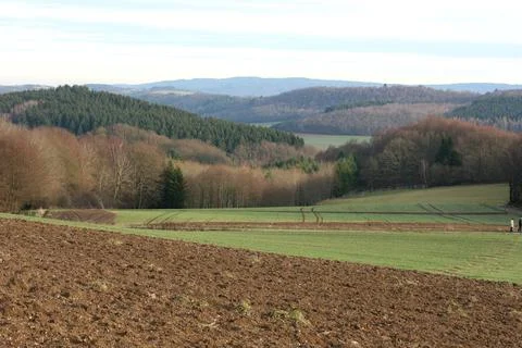 Fields and forests Stock Photos