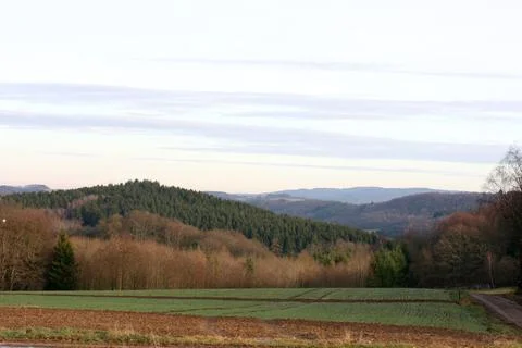 Fields and forests Stock Photos