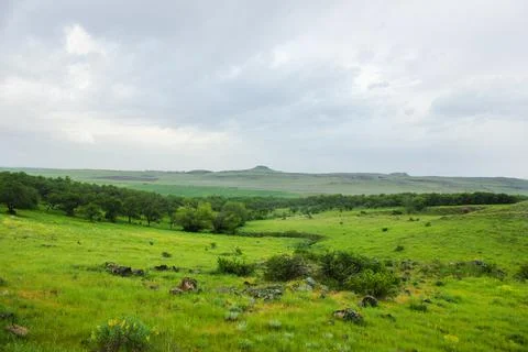 Fields and forests Stock Photos