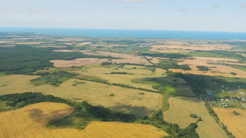 Fields and forests, view from the plane Stock Footage 170785143