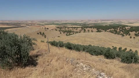 Fields and future excavation sites of Gobeklitepe Video stock 159353932